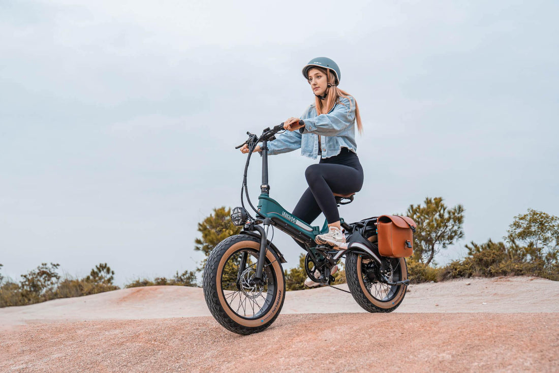 Mihogo Electric Bike