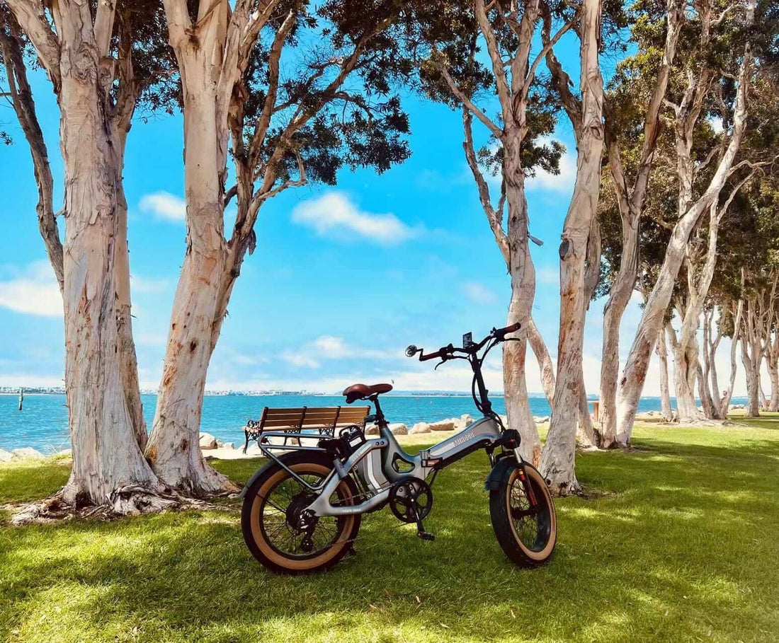 Best E-Bike Routes in California: Pacific Coast Highway and Inland Trail Adventures