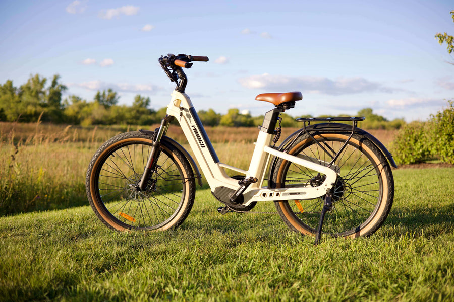 The Science-Backed Benefits of Mihogo Electric Bikes