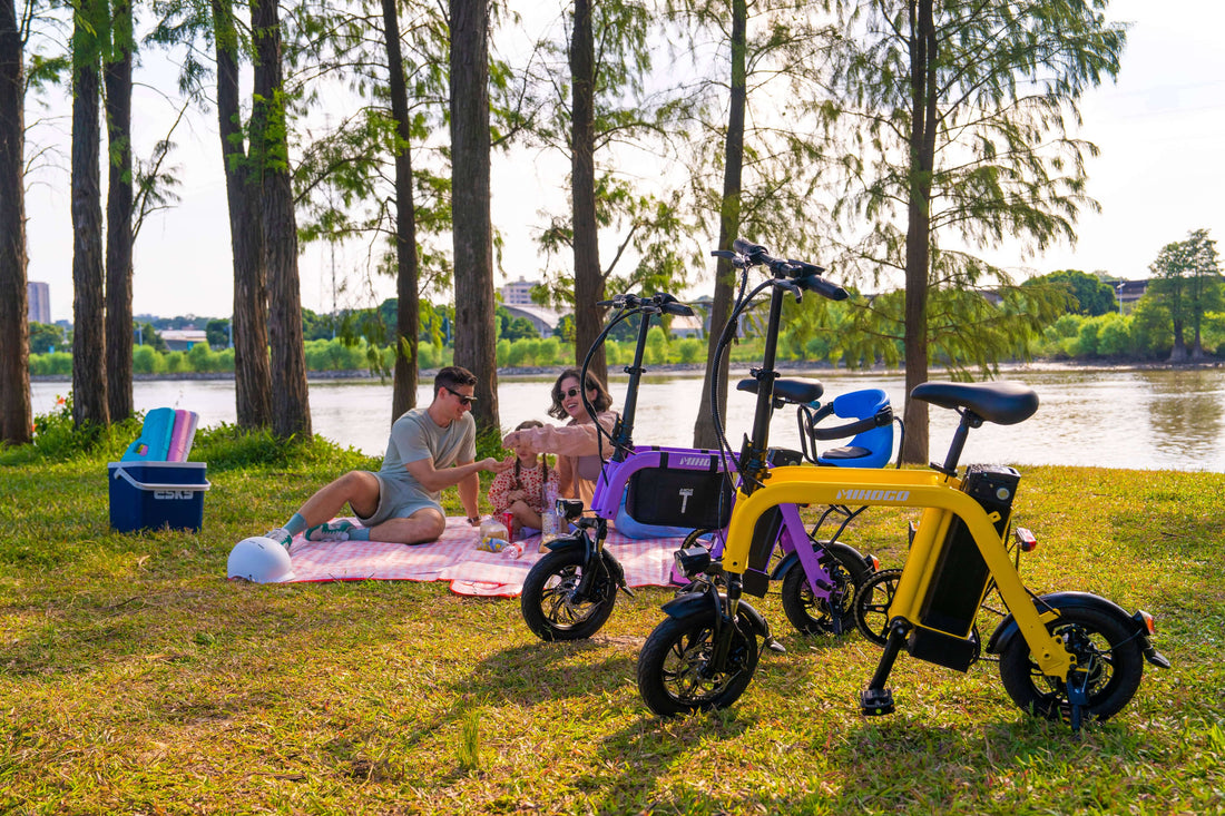 Mihogo Electric Bike Model Comparison Guide