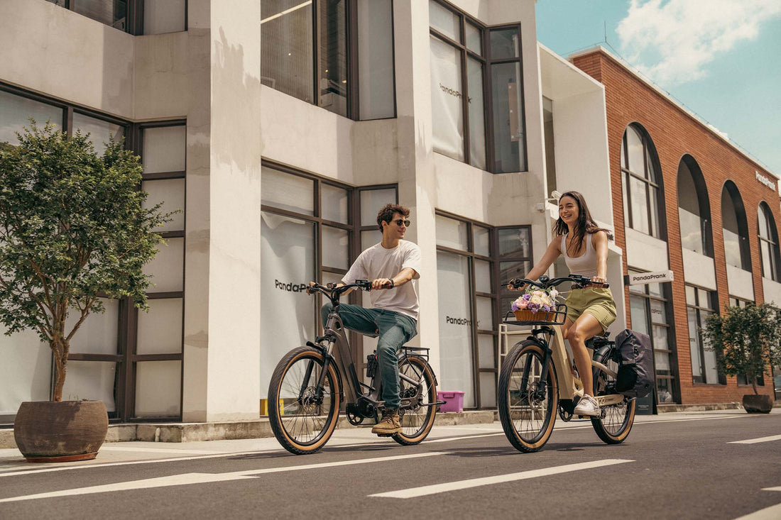 E-Bike Carbon Offset Programs: Leading Environmental Change