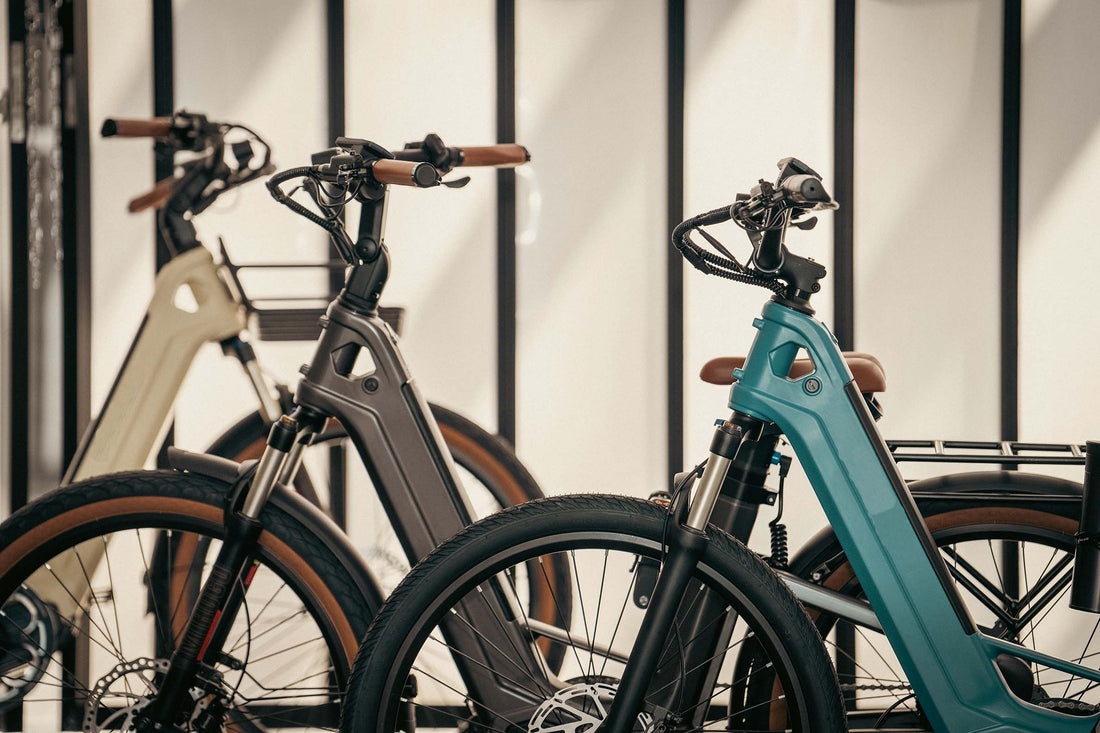 E-Biking Every State Park in Washington