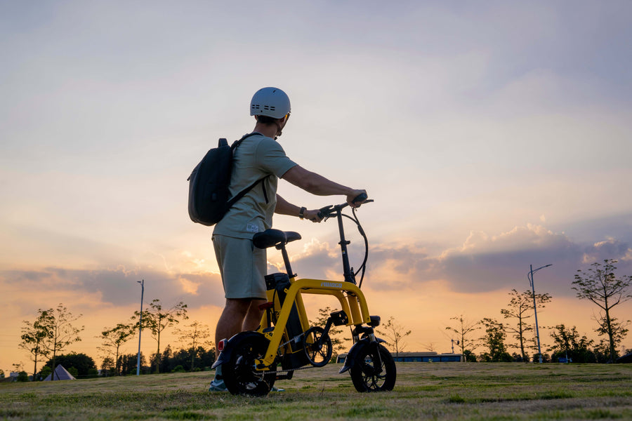 E-Bike Battery Management for Long-Distance Tours