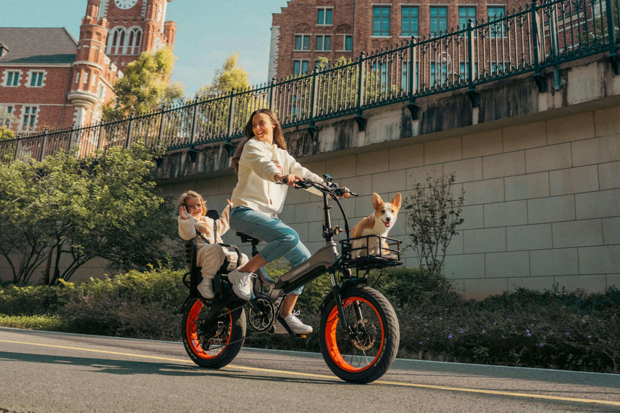 How to Winterize Your E-bike: Cold Weather Preparation for Your Mihogo