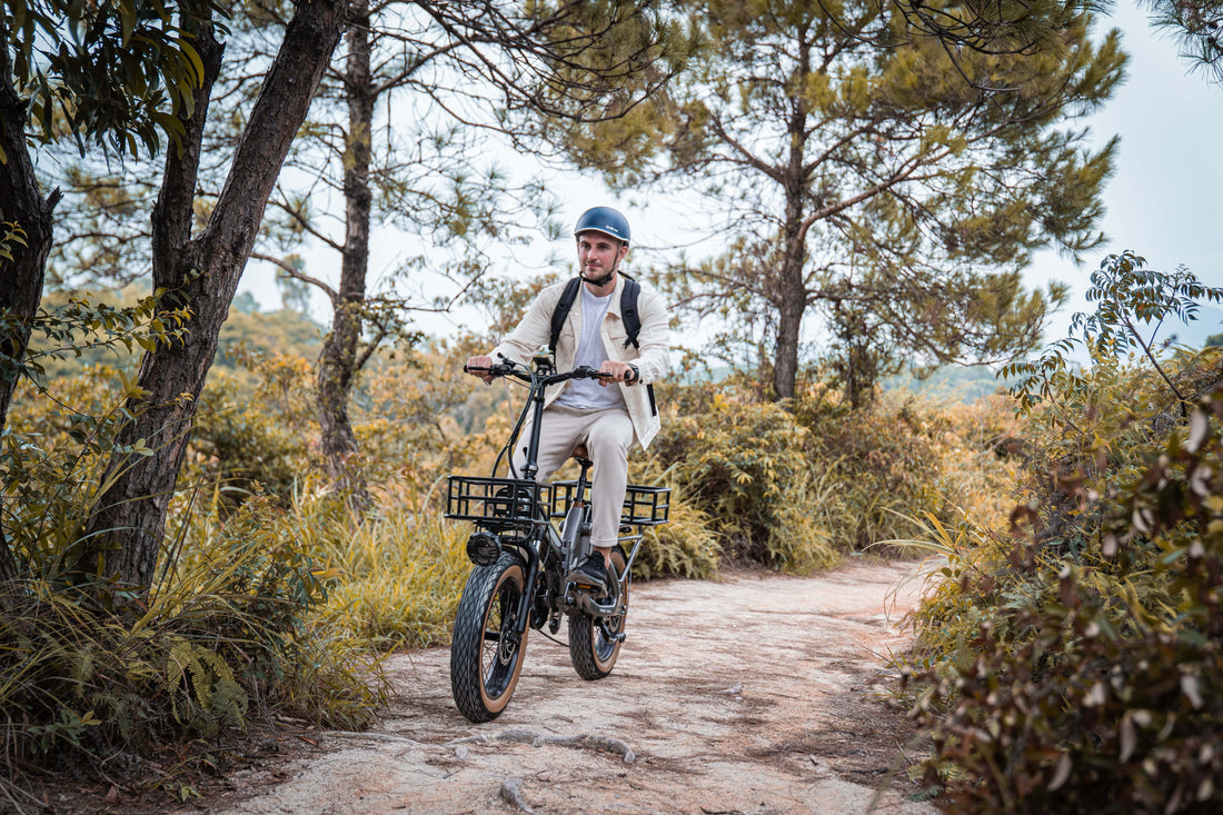 Spring E-bike Tune-up: Essential Maintenance for Your Mihogo Electric Bike