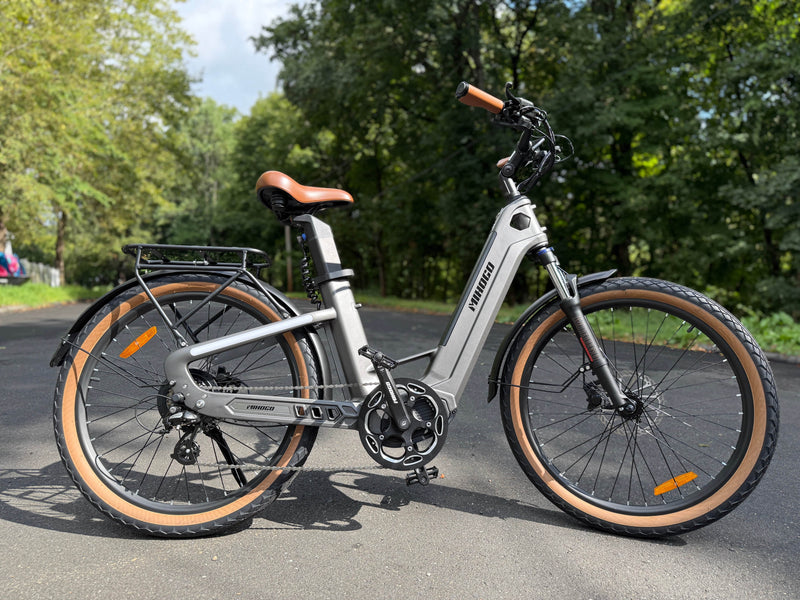 Complete Adaptive E-Bike Guide 2025