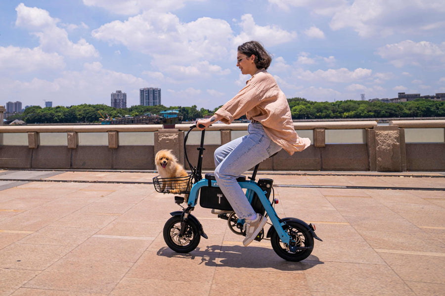 Where Can You Ride E-Bikes Legally?